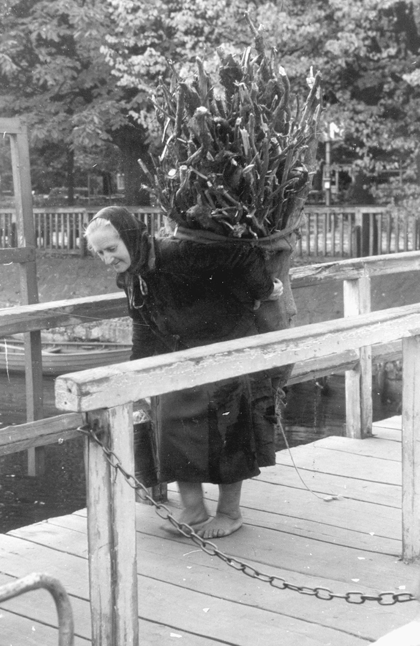 Alte Frau sammelt Holz in Berlin, akg-images - Walter Schulze