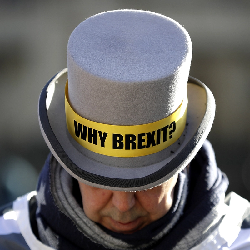Man wearing a hat printed with “Why Brexit?”, Picture-Alliance / ASSOCIATED PRESS | Kirsty Wigglesworth